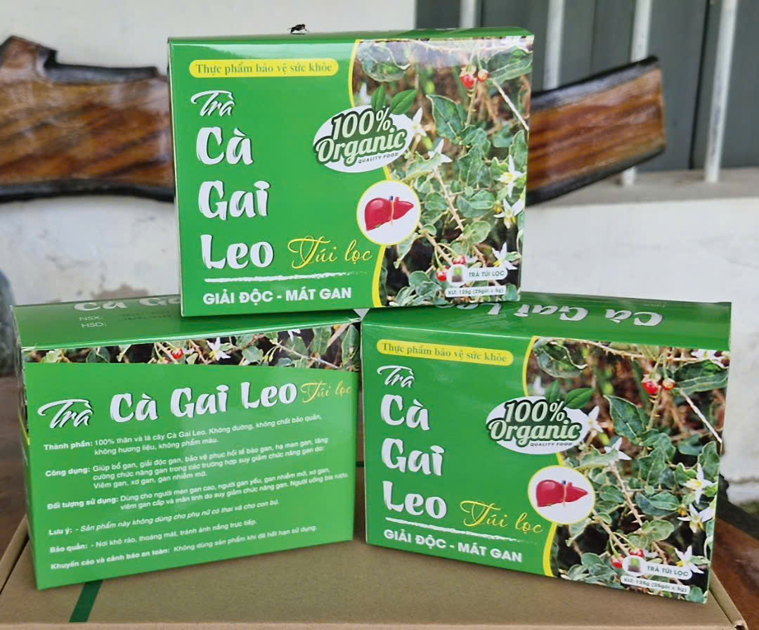 CÀ GAI LEO ( hộp 30 túi lọc)